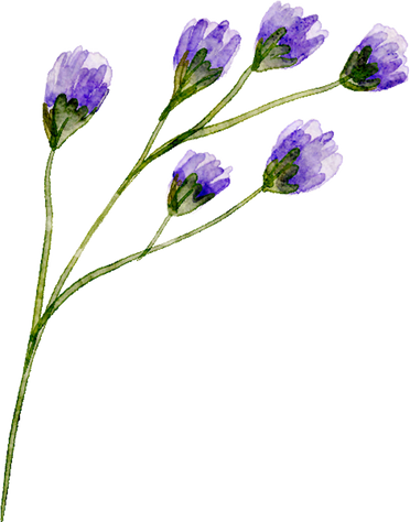 Watercolor Flower Branch Illustration